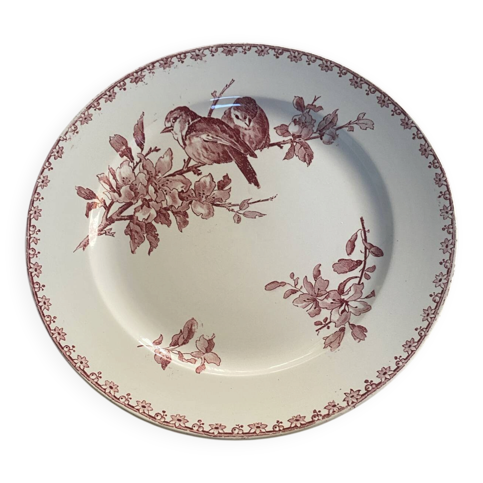 Flat plate model Favori from Sarreguemines