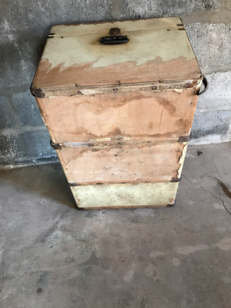 Old cabin trunk