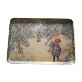 'Apple Pick-Up' Tray