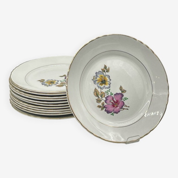 Lot de 12 Assiettes Plates « Orchies - Moulin des Loups » modèle Caroline