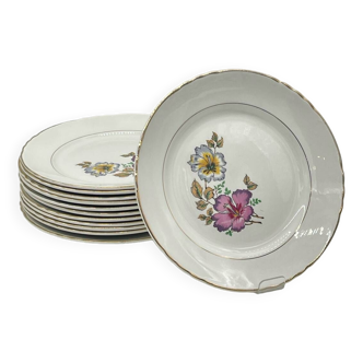 Lot de 12 Assiettes Plates « Orchies - Moulin des Loups » modèle Caroline