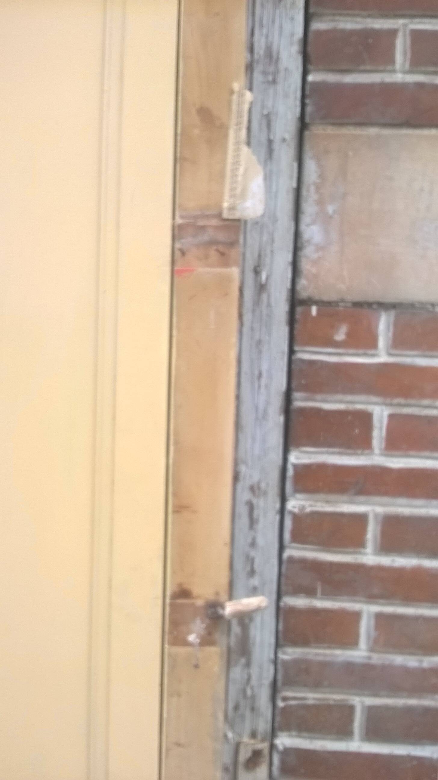 Set of large double antique wardrobe doors.