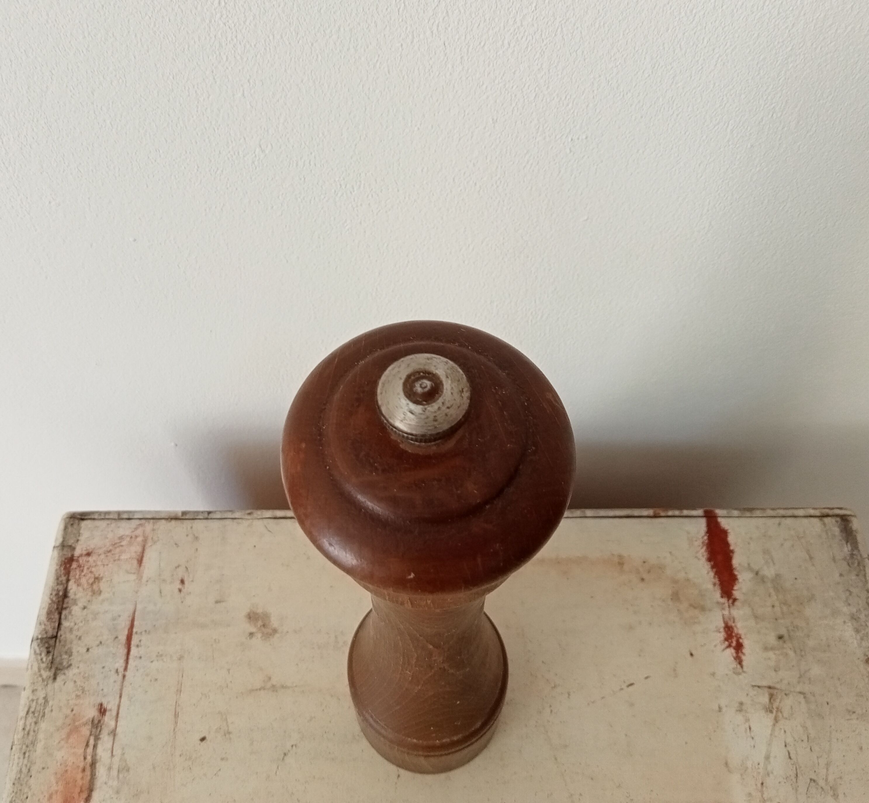 Pepper tree former brothers Peugeot Lion