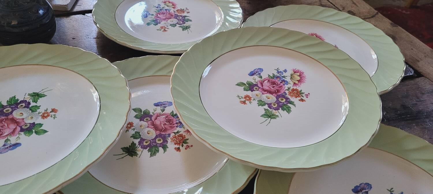 Dinner plates