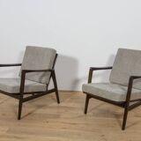 Model 300-139 Armchairs from Swarzędz Factory, Poland, 1960s, Set of 2