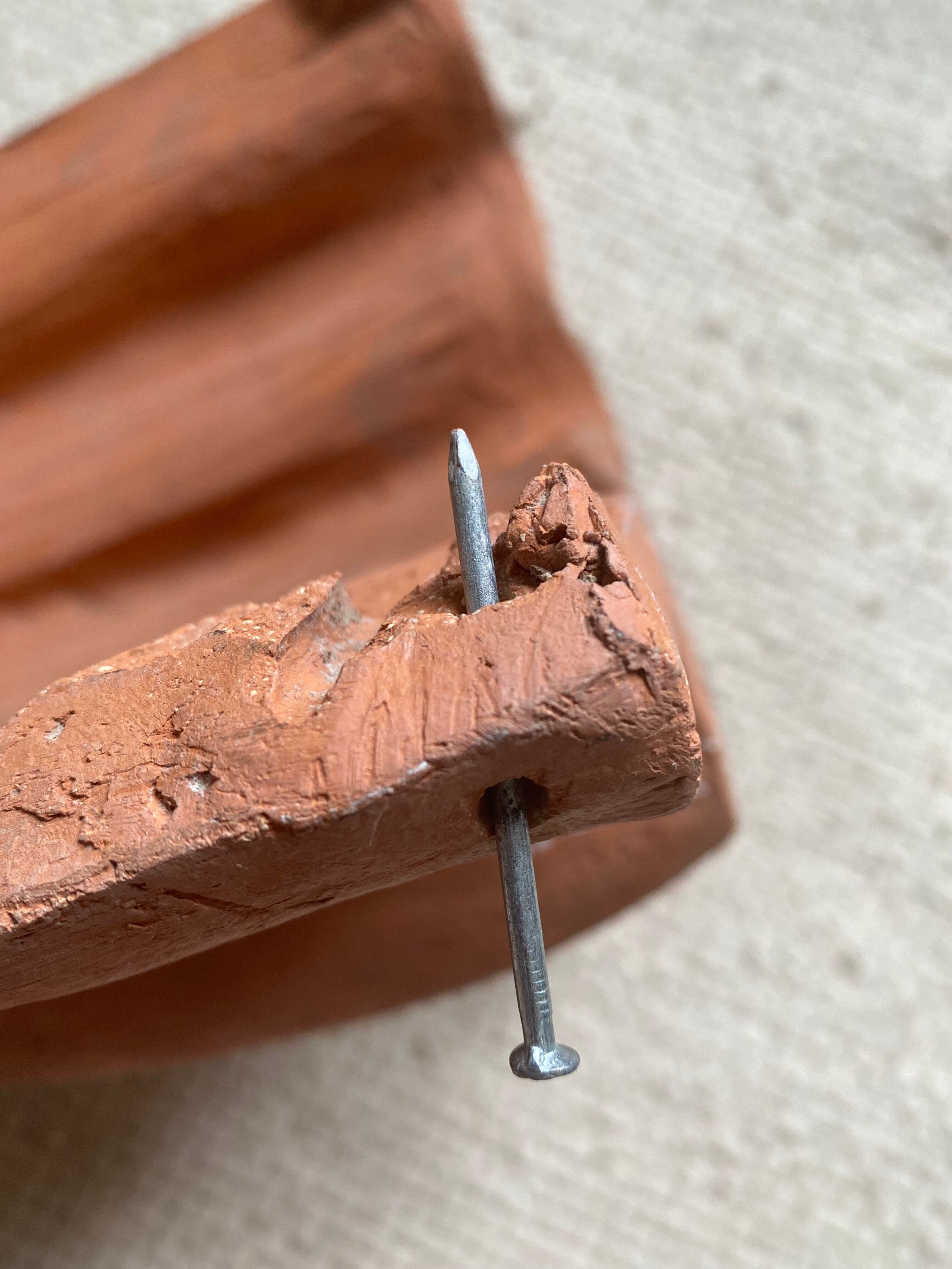 Pair of shell wall lamps