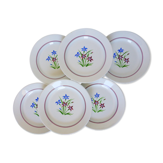 6 assiettes plates des Salins modèle Lily 2106200