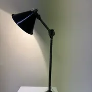 Gras Ravel industrial lamp