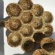Assiettes à escargots grès moucheté artisanal (lot de 3)