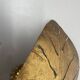 Golden metal "monstera" leaf wall light sconce, france, 1970s