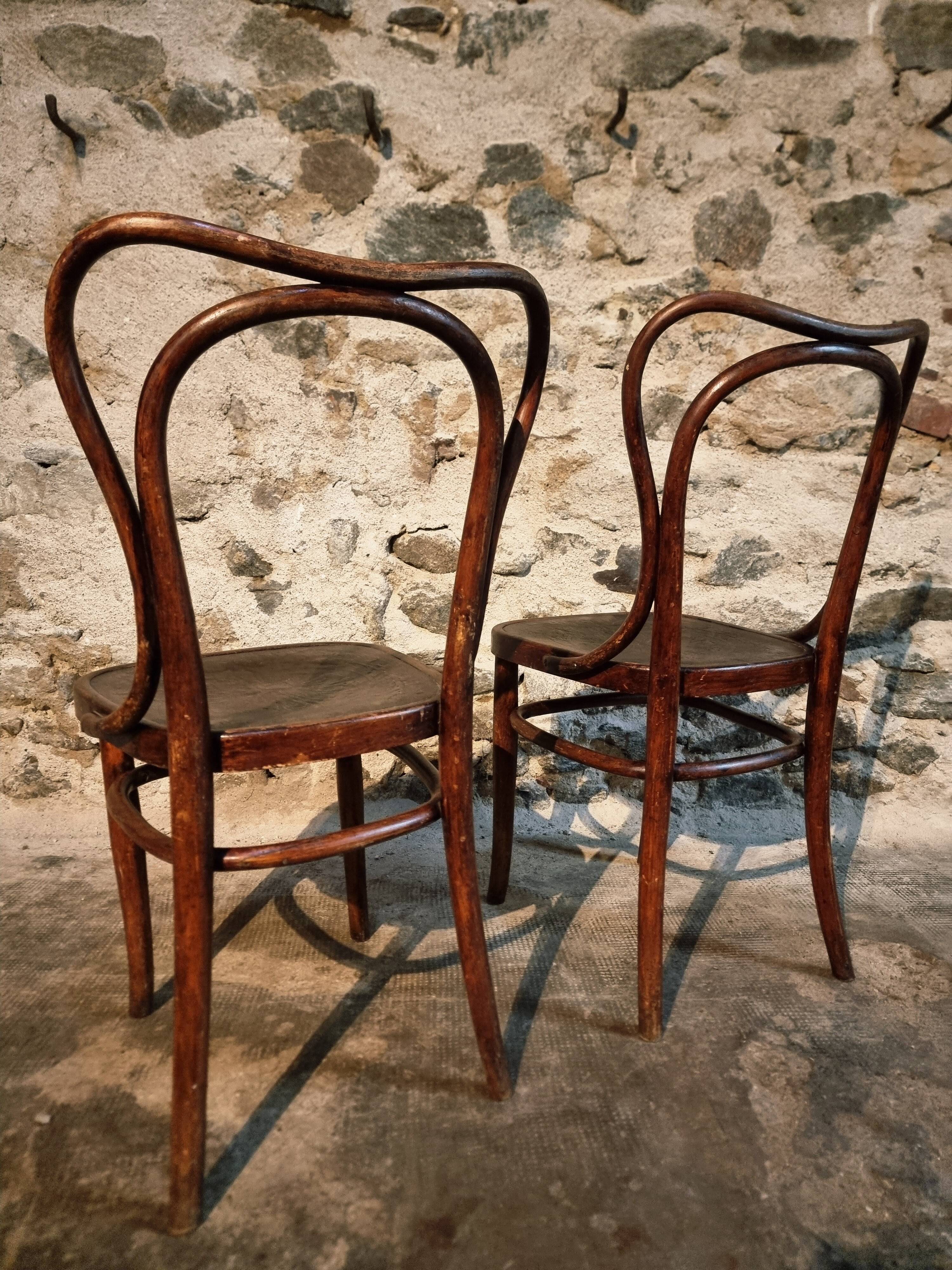 Pair of curved wooden chairs by Jacob & Josef Kohn, Vienna circa 1900