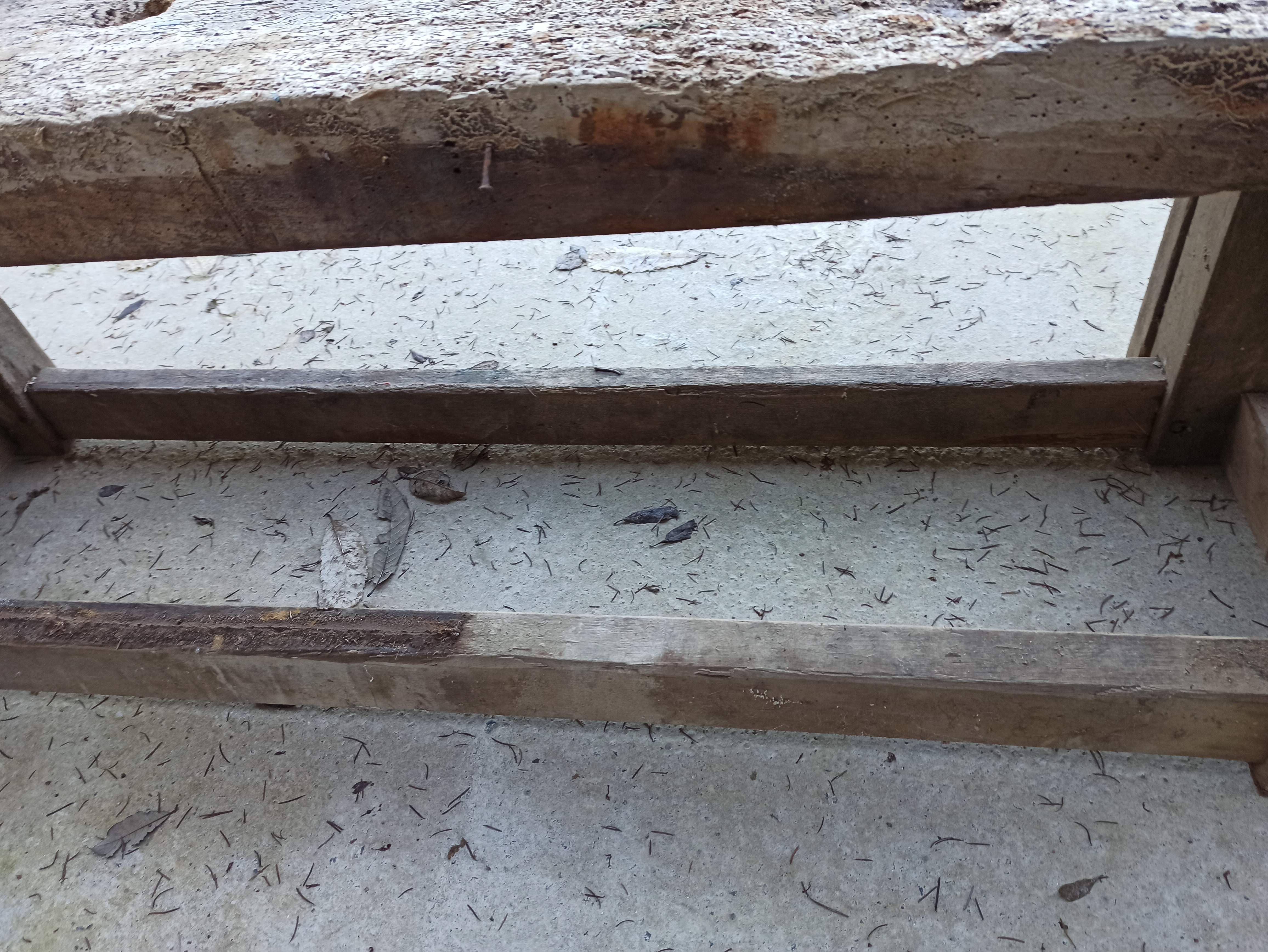 Wooden carpenter's workbench with iron and wooden vice