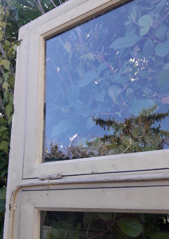 Wooden canopy 3 windows with bellows and abbatant