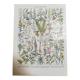 Lithograph on medicinal plants from 1928 (absinthe)