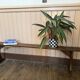 Old wooden bench