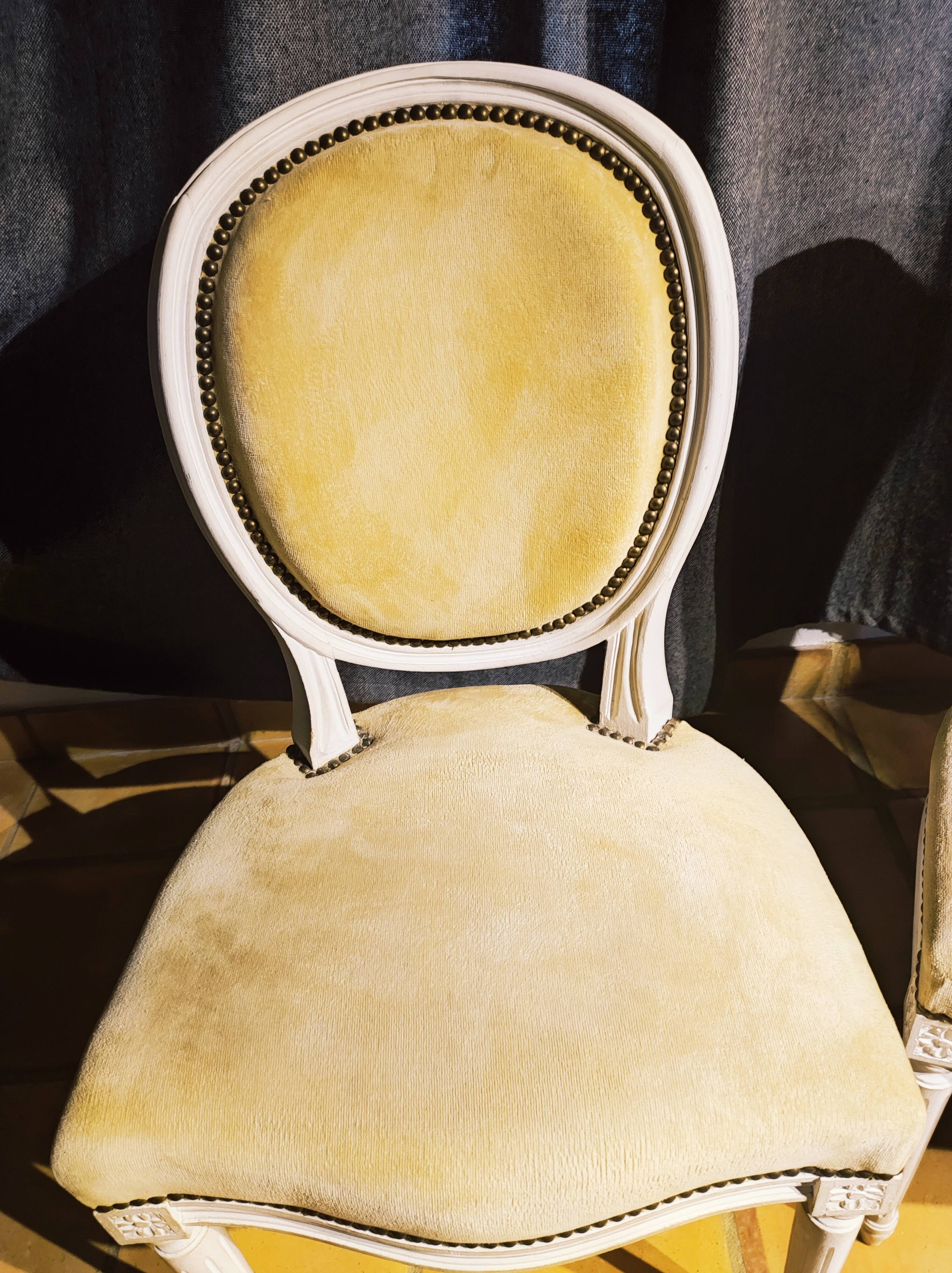 Set of two modern Louis XVI style medallion chairs