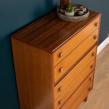 Retro 1960s teak & afromosia tall chest of drawers by homeworthy