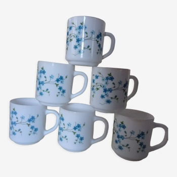 6 mugs veronica  fleurs  bleues arcopal