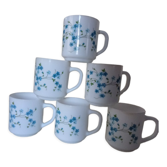 6 mugs veronica blue flowers arcopal