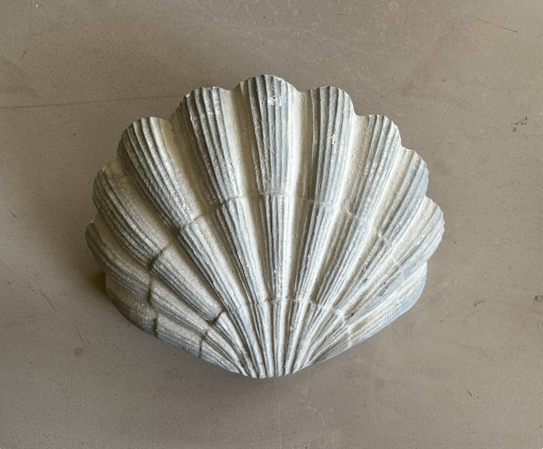 Applique coquillage en plâtre ancienne
