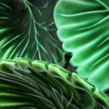 Three. Vintage leaf decoration pockets