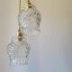 Duo of molded glass pendant lights