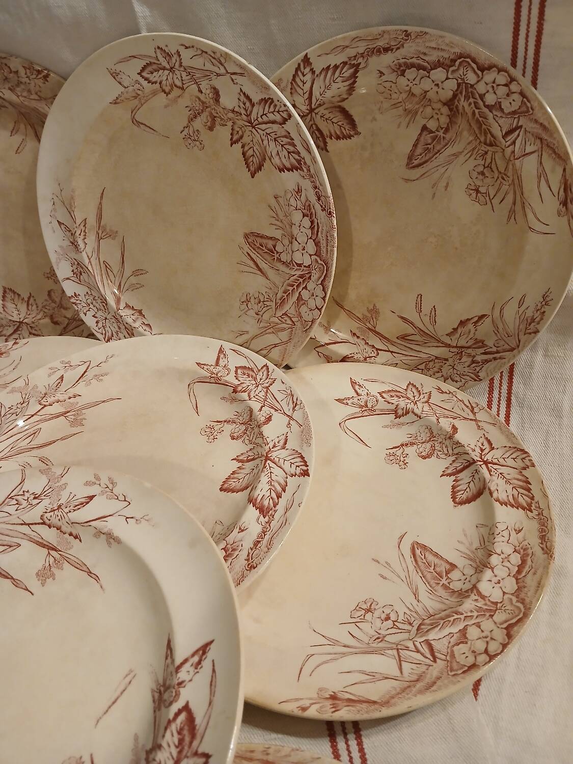 10 antique ironstone dinner plates