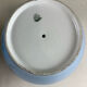 Pair of antique plant pots