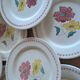 13 antique DDP France plates, 1950s-60s