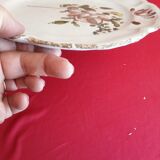 Old plate faience of strasbourg