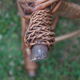 Wicker Chair
