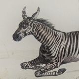 Original zoological plate "zebra & mule" - buffon 1840