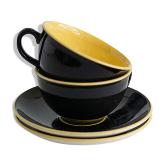 Two cups and saucers Villeroy and Boch