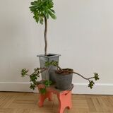 Small step foot in old wood