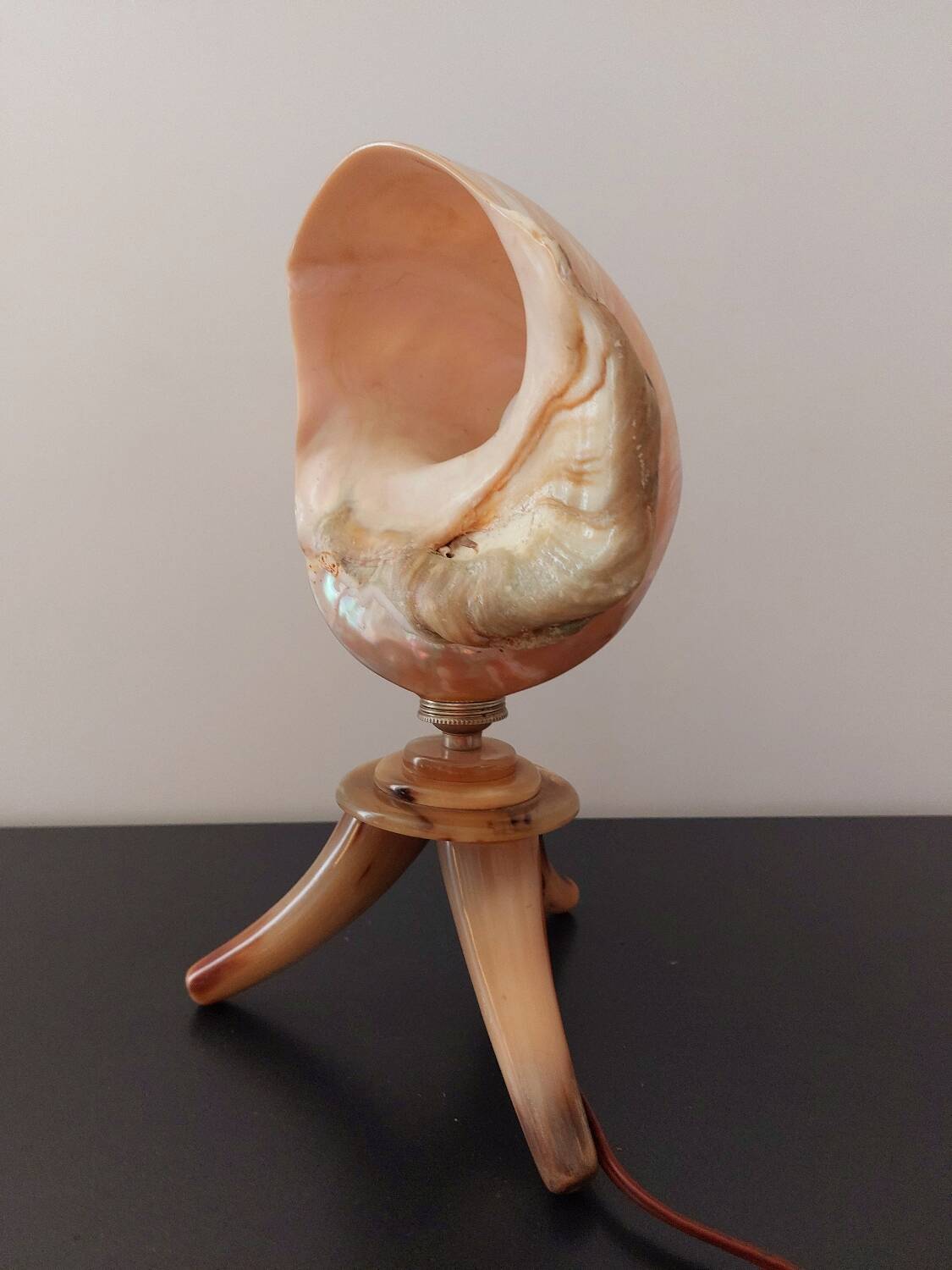 Vintage shell lamp