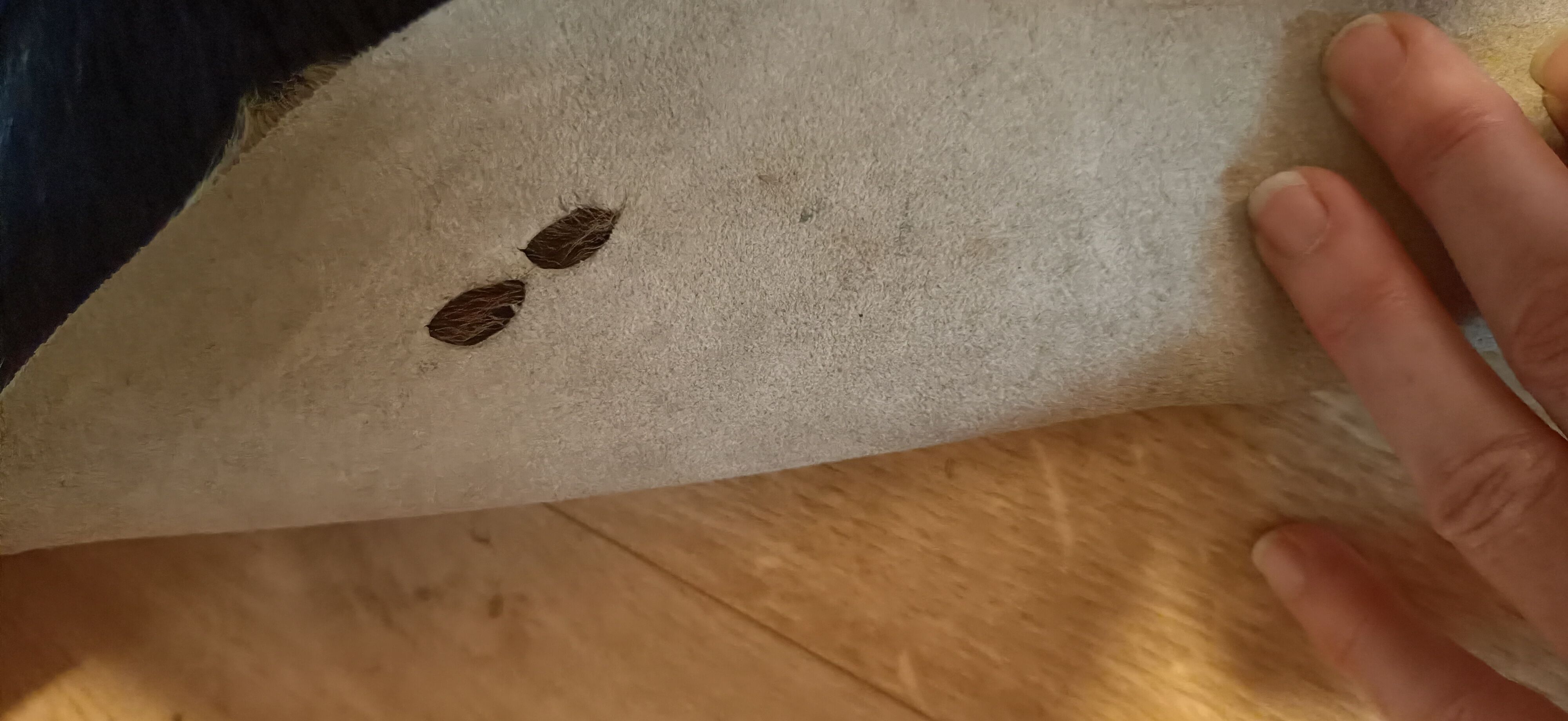 Vintage cow skin carpet, 140 cm x146 cm