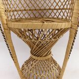 Wicker plant chair