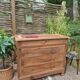 Louis-Philippe chest of drawers in solid walnut
