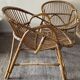 Pair of rattan shell armchairs from the 60s