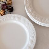 6 flat plates Quadrifoglio