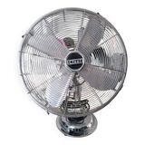 Fan Cinni year 50