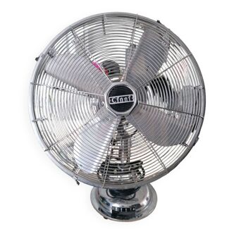 Fan Cinni year 50