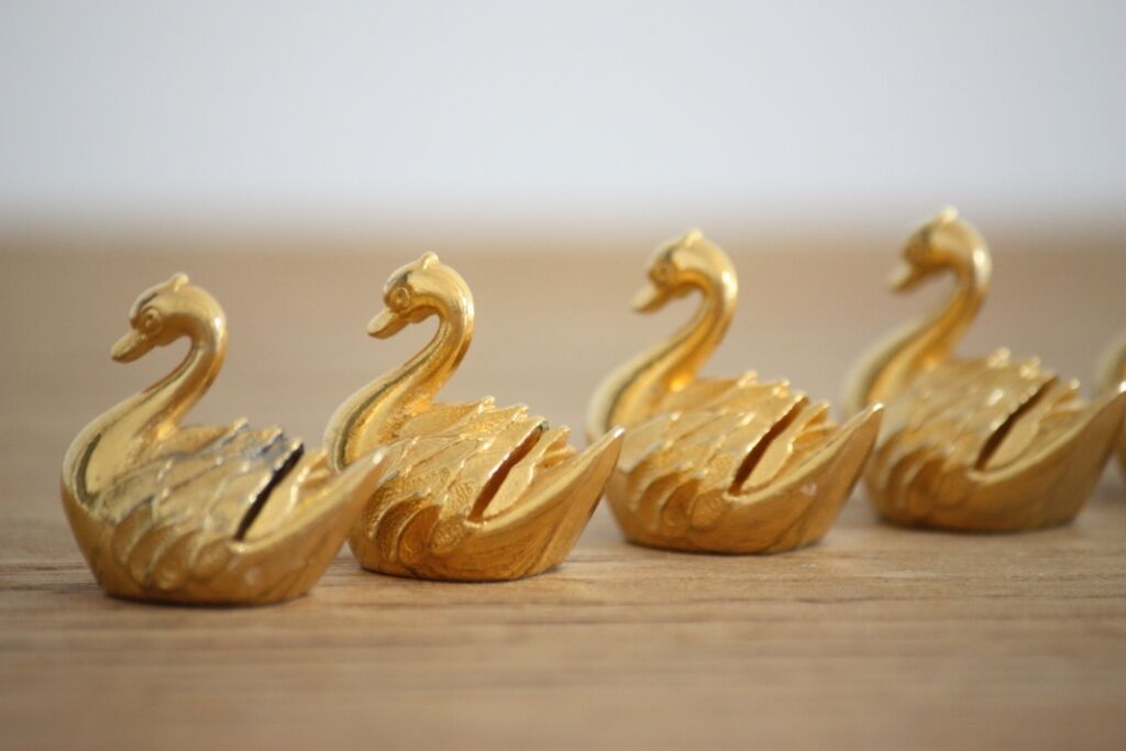6 Golden swans bear name