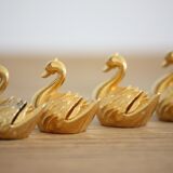 6 Golden swans bear name