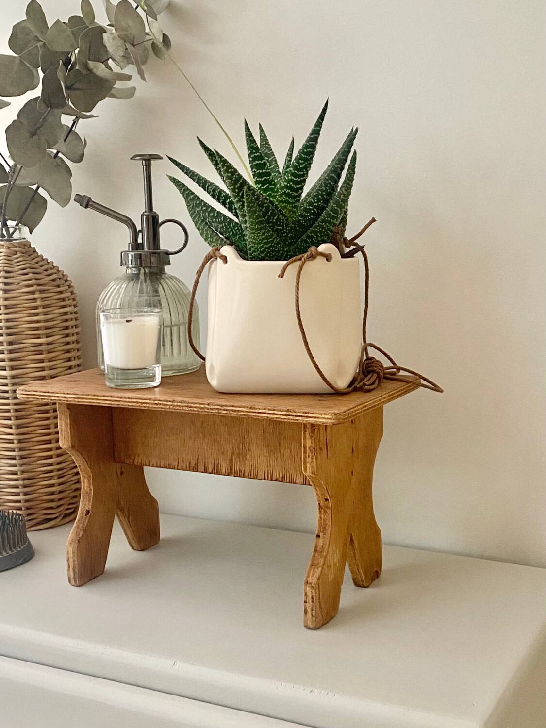 Plant holder