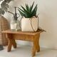 Plant holder