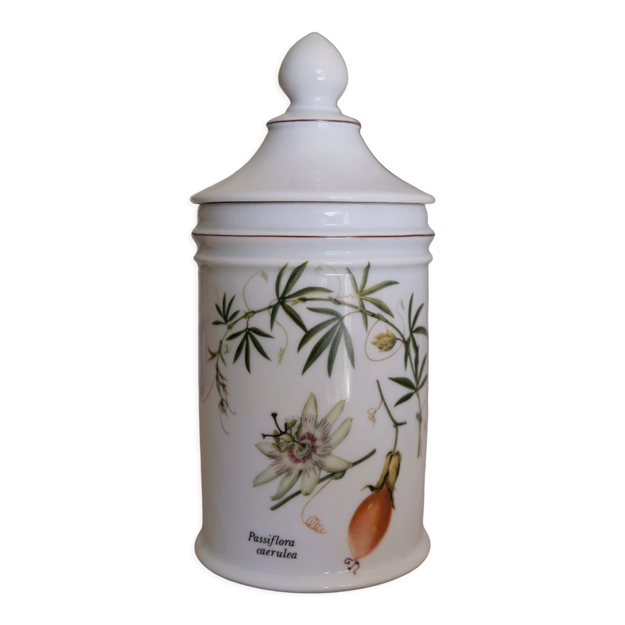 Pharmacy jar "Passiflora" porcelain Lourioux, creations Ph. Dehoulières France