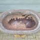 Antique cast iron flower planter jardiniere