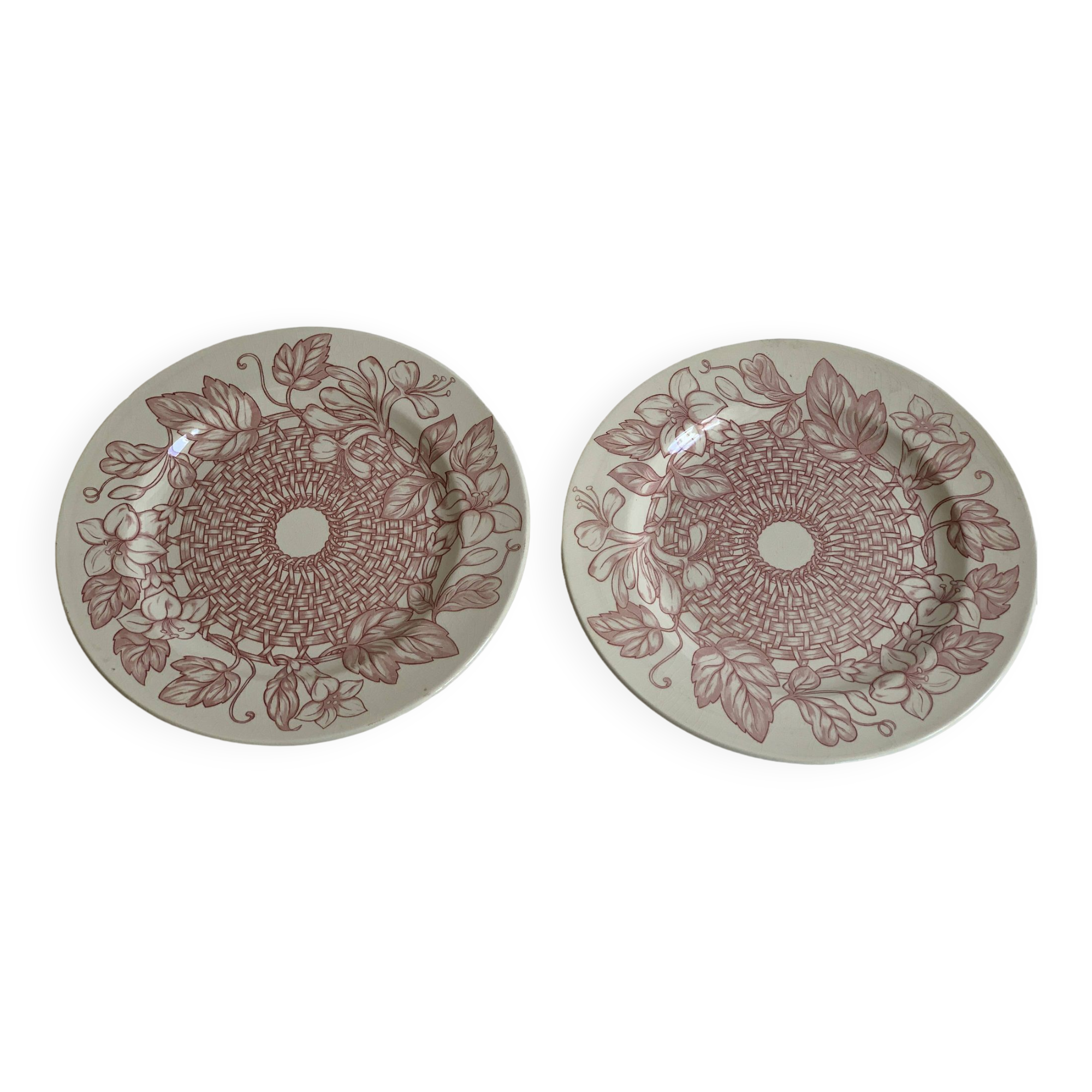 Pair of Sarreguemines iron earth plates