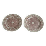 Pair of Sarreguemines iron earth plates